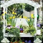 Business 3 image MAGNOLIA GARDEN CENTER Plants in Seattle WA