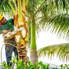 Business 1 image MAHONEY PROFESSIONAL SERVICES yard cleanup in Brandon FL