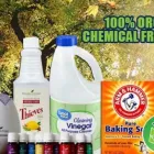 Business 25 image MAIDS2NV CLEANING SERVICE House Cleaning in North Las Vegas NV