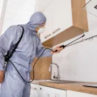 Business 1 image MAIN STREET TERMITE EXPERTS in Bexley OH