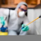 Business 4 image MAIN STREET TERMITE EXPERTS in Bexley OH
