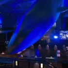 Business 1 image MAKE IT HAPPEN MANAGEMENT in New York NY