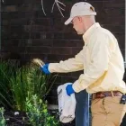 Business 6 image MALANG PEST CONTROL Silverfish in Irvine CA