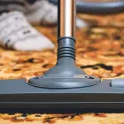Business 1 image MAMARONECK RUG & CARPET CLEANING Carpet Cleaning Equipment Rental in Mamaroneck NY