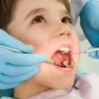 Business 9 image MARC K SPECTOR, DDS Root Canal in Sugar Land TX
