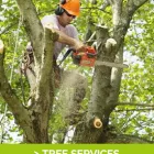 Business 1 image MARC'S LAWN CARE SERVICE & LANDSCAPING COMPANY Landscaping & Lawn Services in Bronx NY