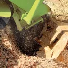 Business 1 image MARC'S LAWN CARE SERVICE & LANDSCAPING Landscaping & Lawn Services in Bronx NY