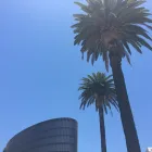 Business 4 image MARGOLIN & LAWRENCE Trial Attorneys in Beverly Hills CA