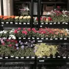 Business 5 image MARK'S ACE HARDWARE Home Improvement in Tucson AZ