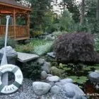 Business 4 image MARK THE POND GUY Landscape Architects & Designers in Puyallup WA