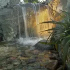 Business 5 image MARK THE POND GUY Landscape Architects & Designers in Puyallup WA