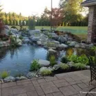 Business 7 image MARK THE POND GUY Landscape Architects & Designers in Puyallup WA