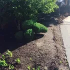 Business 18 image MARK THE POND GUY Landscape Architects & Designers in Puyallup WA