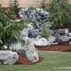 Business 19 image MARK THE POND GUY Landscape Architects & Designers in Puyallup WA