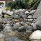 Business 25 image MARK THE POND GUY Landscape Architects & Designers in Puyallup WA