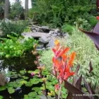 Business 26 image MARK THE POND GUY Landscape Architects & Designers in Puyallup WA