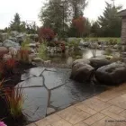 Business 30 image MARK THE POND GUY Landscape Architects & Designers in Puyallup WA