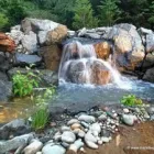 Business 33 image MARK THE POND GUY Landscape Architects & Designers in Puyallup WA