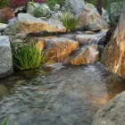 Business 34 image MARK THE POND GUY Landscape Architects & Designers in Puyallup WA