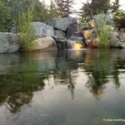 Business 37 image MARK THE POND GUY Landscape Architects & Designers in Puyallup WA