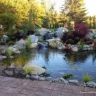 Business 40 image MARK THE POND GUY Landscape Architects & Designers in Puyallup WA