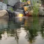 Business 41 image MARK THE POND GUY Landscape Architects & Designers in Puyallup WA