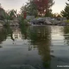 Business 44 image MARK THE POND GUY Landscape Architects & Designers in Puyallup WA