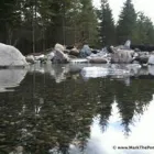 Business 47 image MARK THE POND GUY Landscape Architects & Designers in Puyallup WA