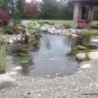 Business 52 image MARK THE POND GUY Landscape Architects & Designers in Puyallup WA