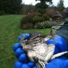 Business 54 image MARK THE POND GUY Landscape Architects & Designers in Puyallup WA