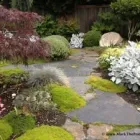 Business 55 image MARK THE POND GUY Landscape Architects & Designers in Puyallup WA