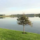 Business 4 image MARKETPATH, INC. Web Design & Development in Indianapolis IN