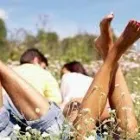 Business 5 image MARRIAGE AND FAMILY COUNSELING PA in Miami FL