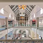 Business 34 image MARRIOTT ORLANDO DOWNTOWN Wedding Venue in Orlando FL