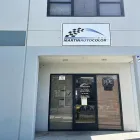 Business 2 image MARTIN AUTO COLOR B2B Automotive in San Jose CA