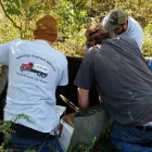 Business 2 image MARTINS PUMPING SERVICE LLC Septic Tanks & Systems in Berryville VA