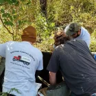 Business 7 image MARTINS PUMPING SERVICE LLC in Berryville VA