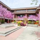Business 1 image MATTHEW CHIN, MD in Walnut Creek CA