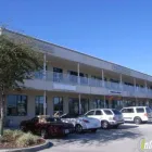 Business 1 image MATTIA, SPINAL CARE & REHAB CENTER P.A Chiropractors & Chiropractic Services in Orlando FL