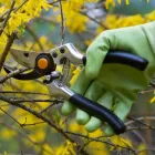 Business 3 image MCI TREES AND JUNK REMOVAL Tree Service in Indianapolis IN