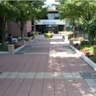 Business 3 image MED NOW LABS Medical Labs in Chicago IL