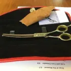 Business 2 image MELISSA MICHELLE GROOMING Pet Grooming in San Leandro CA