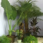 Business 2 image MEMORIAL HEIGHTS REFLEXOLOGY Reflexology Spa in Houston TX