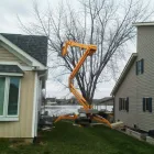 Business 10 image MENCHHOFER TREE CARE Tree Service in Indianapolis IN