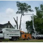 Business 1 image MENCHHOFER TREE CARE Tree Service in Indianapolis IN