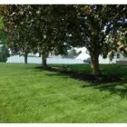 Business 5 image MENCHHOFER TREE CARE Tree Service in Indianapolis IN