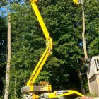 Business 7 image MENCHHOFER TREE CARE Tree Service in Indianapolis IN