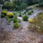 Business 2 image MENDOZA’S LANDSCAPING in San Jose CA