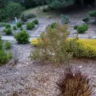 Business 4 image MENDOZA’S LANDSCAPING in San Jose CA