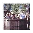 Business 1 image MENGHINI WINERY Wineries in Julian CA